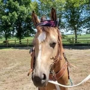 Meet your Posher, Samantha